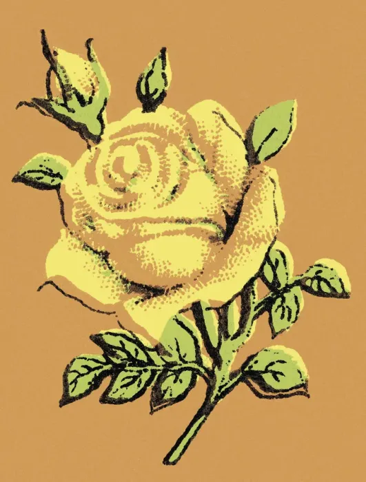 Framed Print : Rose. http: /  / csaimages.com / images / istockprofile / csa_vector_dsp.jpg