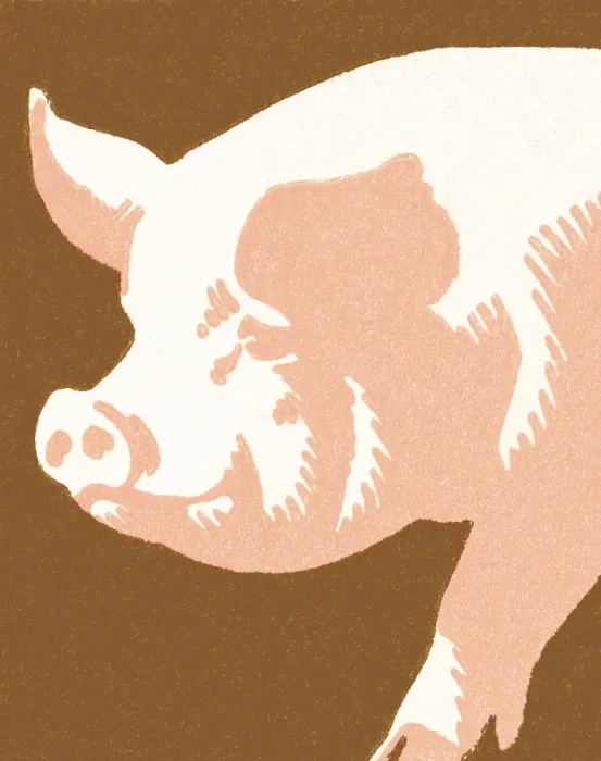 Framed Print : Pig. http: / / csaimages.com / images / istockprofile / csa_vector_dsp.jpg Framed Print : Pig. http: / / csaimages.com / images / istockprofile / csa_vector_dsp.jpg