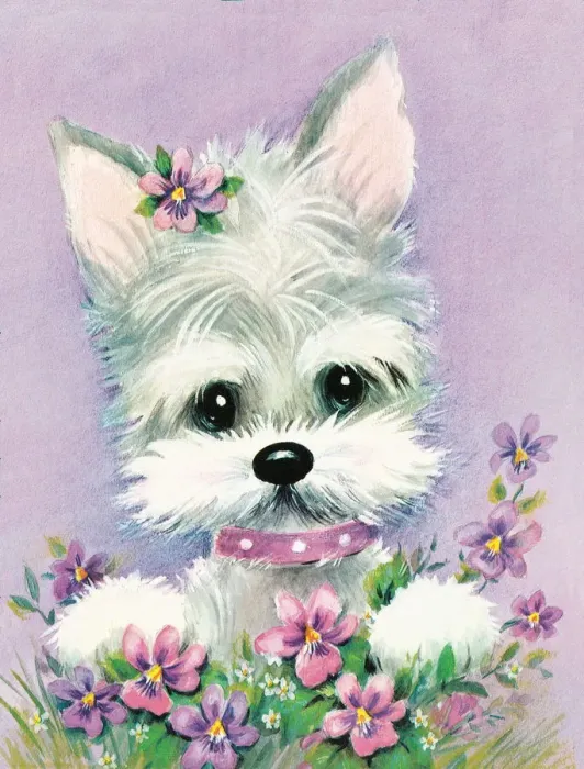 Framed Print : Puppy. http: / / csaimages.com / images / istockprofile / csa_vector_dsp.jpg Framed Print : Puppy. http: / / csaimages.com / images / istockprofile / csa_vector_dsp.jpg