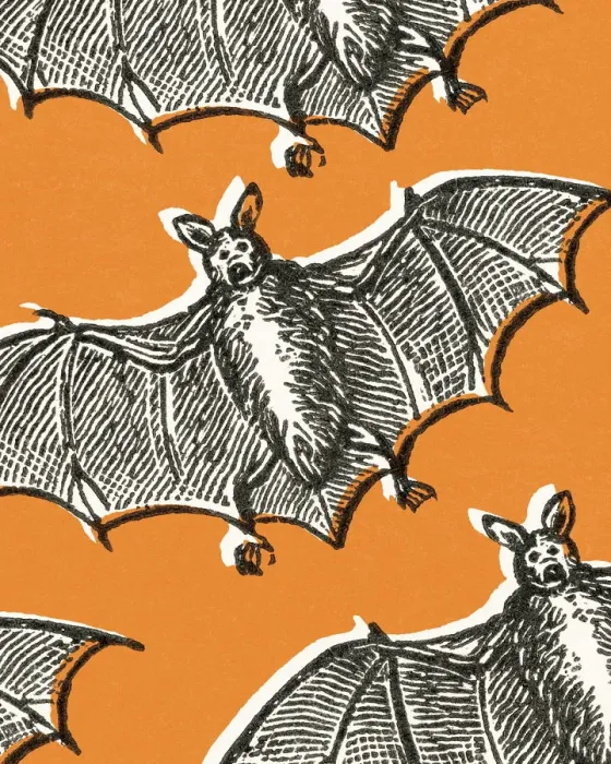 Framed Print : Bats. http: / / csaimages.com / images / istockprofile / csa_vector_dsp.jpg Framed Print : Bats. http: / / csaimages.com / images / istockprofile / csa_vector_dsp.jpg