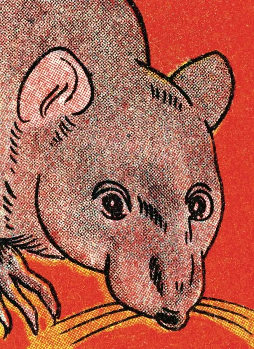 Framed Print : Mouse. http: / / csaimages.com / images / istockprofile / csa_vector_dsp.jpg Framed Print : Mouse. http: / / csaimages.com / images / istockprofile / csa_vector_dsp.jpg