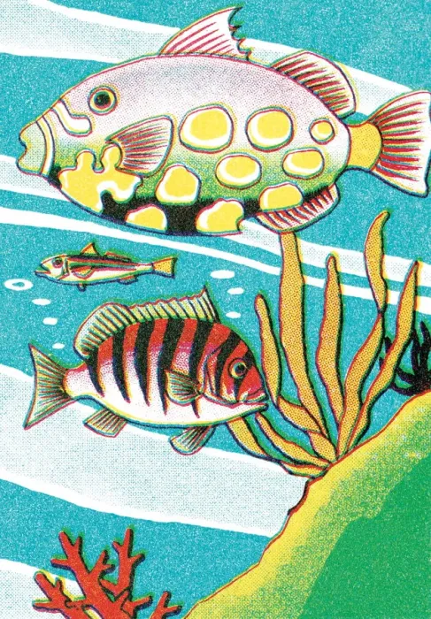 Framed Print : Fish. http: / / csaimages.com / images / istockprofile / csa_vector_dsp.jpg Framed Print : Fish. http: / / csaimages.com / images / istockprofile / csa_vector_dsp.jpg
