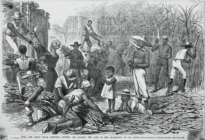 Framed Print : Cuban Farmers Harvesting Sugar Cane