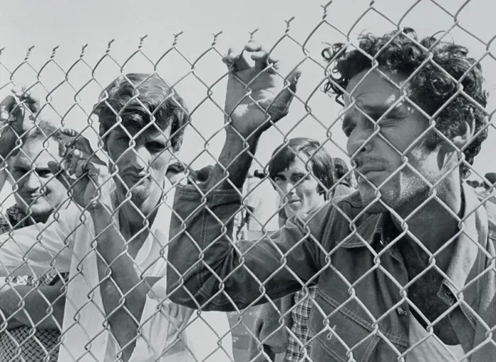 Framed Print : Cuban Refugees Peering Through Fence Framed Print : Cuban Refugees Peering Through Fence