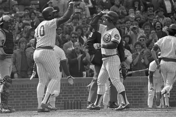 Framed Print : Cubs Ron Cey is Welcomed at the Plate Framed Print : Cubs Ron Cey is Welcomed at the Plate