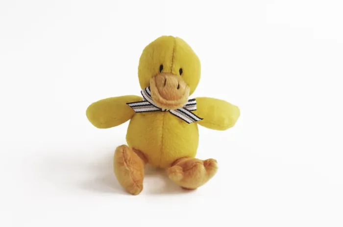 Framed Print : Cuddly toy duck Framed Print : Cuddly toy duck