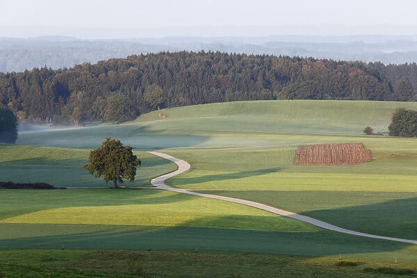 Cultivated landscape near Degerndorf, view from Mt Fuerst-Tegernberg, Muensing, five lakes region, Upper Bavaria, Bavaria, Germany, Europe, PublicGround