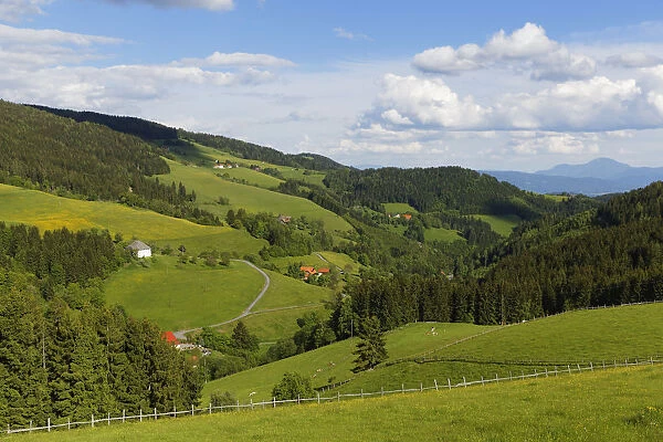 Cultivated landscape, Saualpe alp, Central Eastern Alps, near Diex, Carinthia, Austria