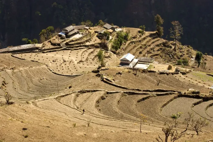 Framed Print : Cultivated landscape with a small village, rice fields layed out as terraces at the edge of an abyss, Annapurna Conservation Area, Nepal, Asia