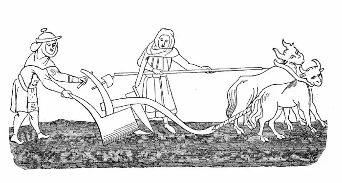 Framed Print : Cultivated state in the 12th century, field work ploughing with an ox team, agriculture, after a picture in the manuscript of the Hortus deliciarum of Herrad of Landsberg, Germany, Historic Framed Print : Cultivated state in the 12th century, field work ploughing with an ox team, agriculture, after a picture in the manuscript of the Hortus deliciarum of Herrad of Landsberg, Germany, Historic