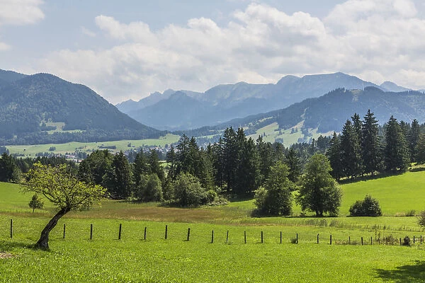 Cultural landscape at Buching, behind the Ammergau Alps, Halblech, Allgau, Bavaria, Germany
