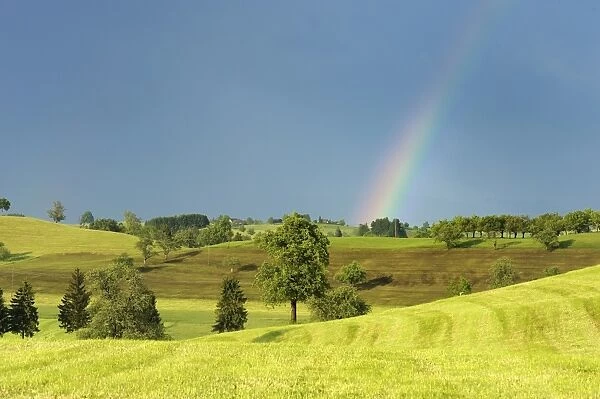 Cultural landscape in the Swiss Mittleland with a rainbow, Zug, Switzerland, Europe
