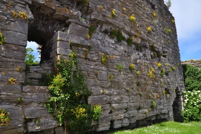 Framed Print : Culture. Old city wall in Visby, Gotland Framed Print : Culture. Old city wall in Visby, Gotland