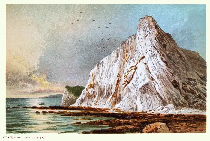 Framed Print : Culver Down, Isle of Wight, White chalk cliff, coastline, 19th Century Victorian Landscape Art Framed Print : Culver Down, Isle of Wight, White chalk cliff, coastline, 19th Century Victorian Landscape Art