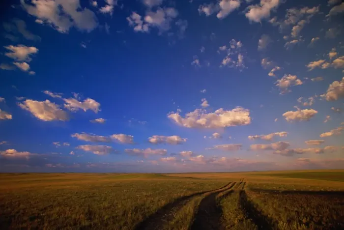 Framed Print : Cumulus clouds above grazing range Framed Print : Cumulus clouds above grazing range