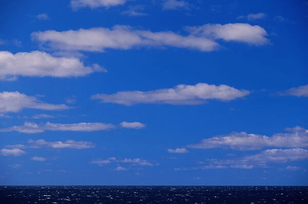 Cumulus clouds scattered over horizon of sky and ocean