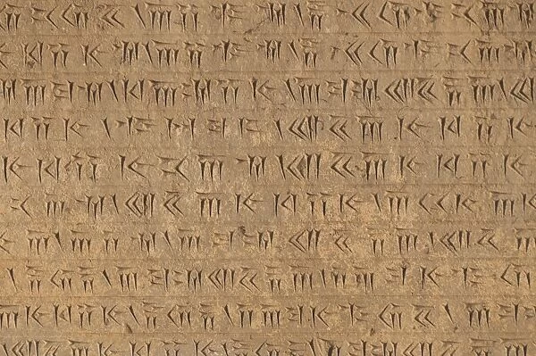 Cuneiform script in persepolis, Iran