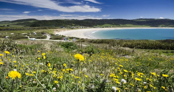 Framed Print : Curio Bay, The Catlins, South Island, New Zealand Framed Print : Curio Bay, The Catlins, South Island, New Zealand