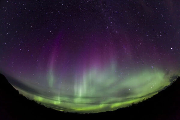 Curtains of Northern lights, Polar Aurorae, Aurora Borealis, green, pink, purple, near Whitehorse, Yukon Territory, Canada