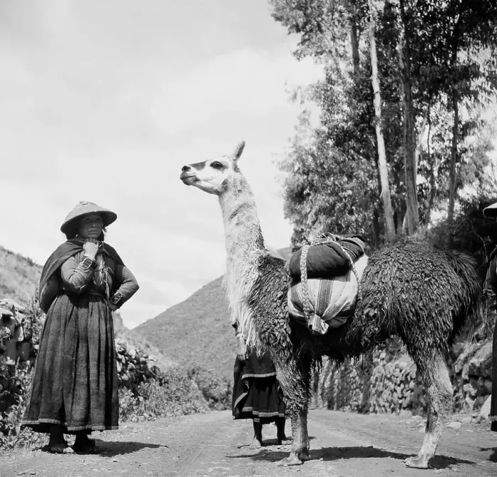 Framed Print : Cusco, Peru Framed Print : Cusco, Peru