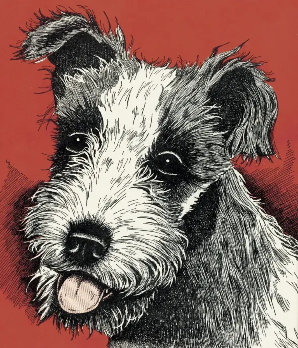 Framed Print : Cute Dog. http: / / csaimages.com / images / istockprofile / csa_vector_dsp.jpg Framed Print : Cute Dog. http: / / csaimages.com / images / istockprofile / csa_vector_dsp.jpg