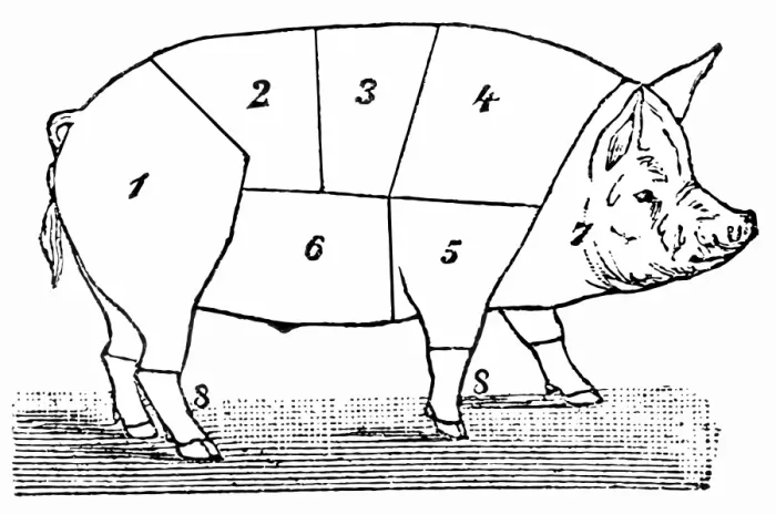 Framed Print : Cuts of Pork Framed Print : Cuts of Pork