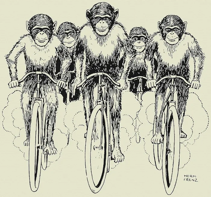 Framed Print : Cycling Chimps Framed Print : Cycling Chimps