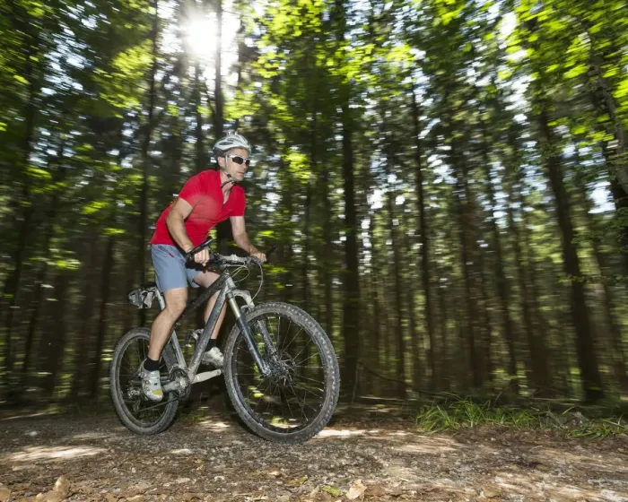 Framed Print : Cyclist on a mountainbike riding through a forest, Schurwald forest, Winterbach, Baden-Wurttemberg, Germany Framed Print : Cyclist on a mountainbike riding through a forest, Schurwald forest, Winterbach, Baden-Wurttemberg, Germany