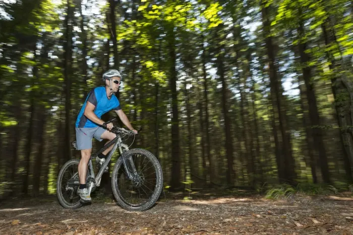 Framed Print : Cyclist on a mountainbike riding through a forest, Schurwald forest, Winterbach, Baden-Wurttemberg, Germany Framed Print : Cyclist on a mountainbike riding through a forest, Schurwald forest, Winterbach, Baden-Wurttemberg, Germany
