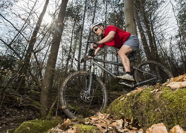 Cyclist on a mountainbike riding through a forest, Schurwald forest, Winterbach, Baden-Wurttemberg, Germany