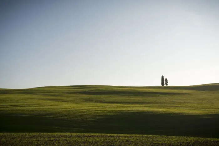 Framed Print : Two cypress trees on the hill in Val d Orcia Framed Print : Two cypress trees on the hill in Val d Orcia