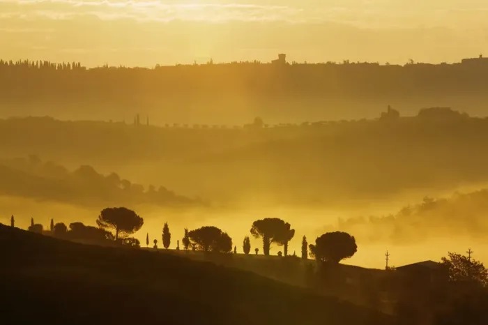 Framed Print : Cypresses -Cupressus- in the morning fog, San Quirico, Val dOrcia, Tuscany, Italy, Europe Framed Print : Cypresses -Cupressus- in the morning fog, San Quirico, Val dOrcia, Tuscany, Italy, Europe
