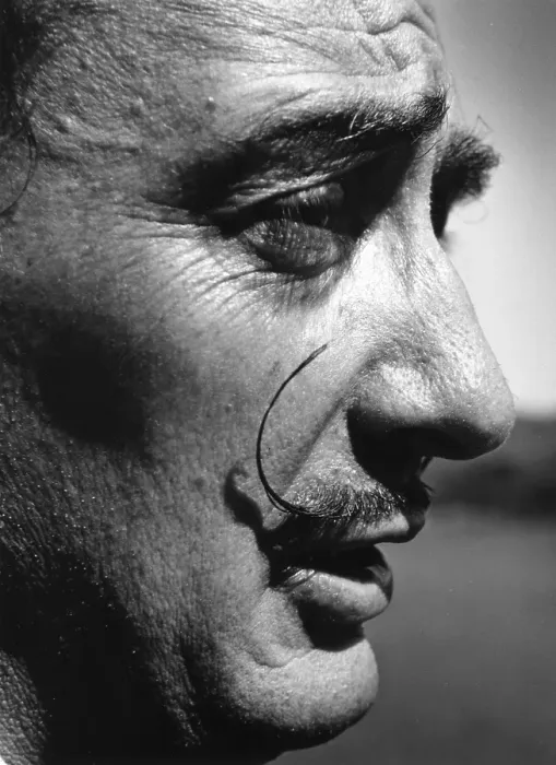 Framed Print : Dali In Profile Framed Print : Dali In Profile