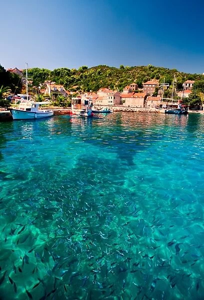 Dalmatia Paradise