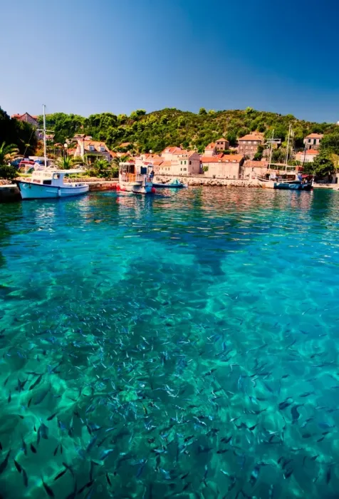 Framed Print : Dalmatia Paradise Framed Print : Dalmatia Paradise