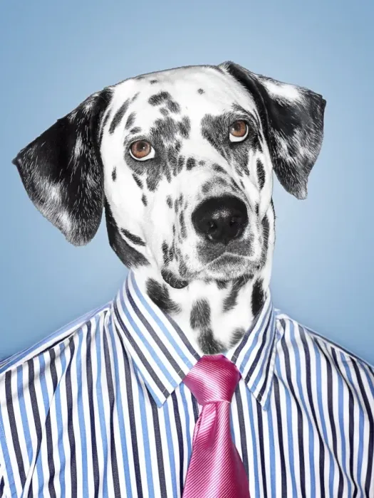Framed Print : Dalmatian Businessman looking at camera