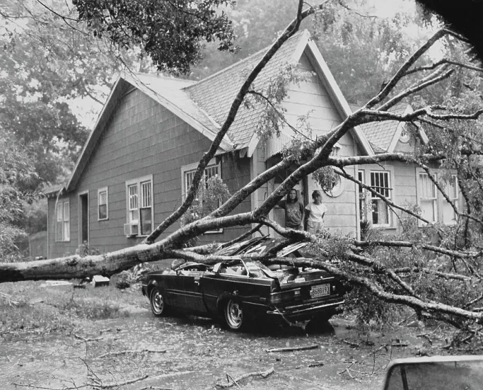 Framed Print : Damage from Hurricane Danny Framed Print : Damage from Hurricane Danny