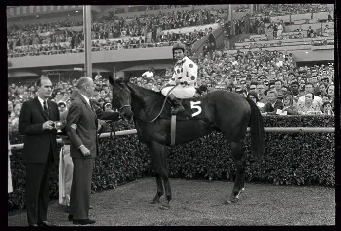 Framed Print : Damascus in Winner's Circle