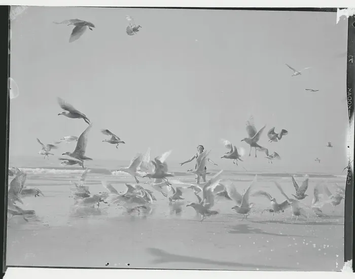 Framed Print : Dancer Joan Fairfield Dancing with Seagulls Framed Print : Dancer Joan Fairfield Dancing with Seagulls