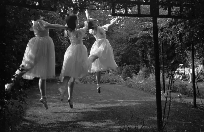 Framed Print : Dancing In The Garden Framed Print : Dancing In The Garden