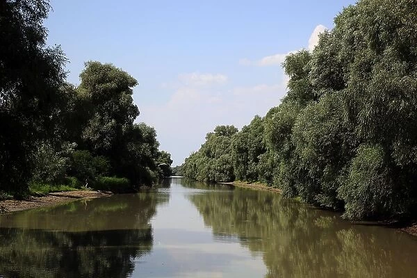 Danube Delta Biosphere Reserve, near Tulcea, Romania