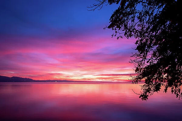 dark violet clouds with orange sun light and pink light in wonderful twilight sky. Silhouettes of trees on the background of the lake Bodensee in Lindau