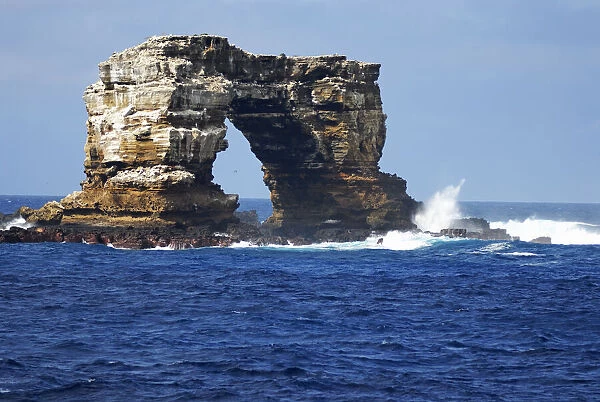 Darwins Arch, Darwin Island, Galapagos