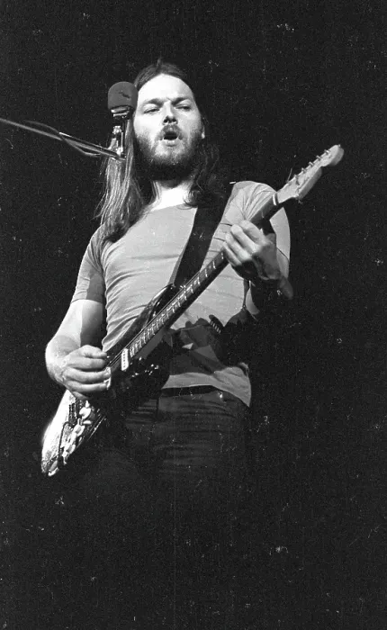 Framed Print : Dave Gilmour Live Framed Print : Dave Gilmour Live