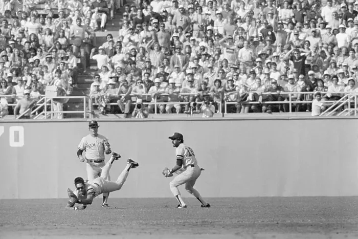 Framed Print : Dave Winfield Makes Diving Catch Framed Print : Dave Winfield Makes Diving Catch