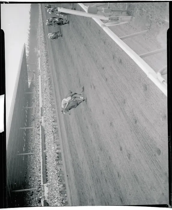 Framed Print : David Erb Riding Horse Around the Track Framed Print : David Erb Riding Horse Around the Track