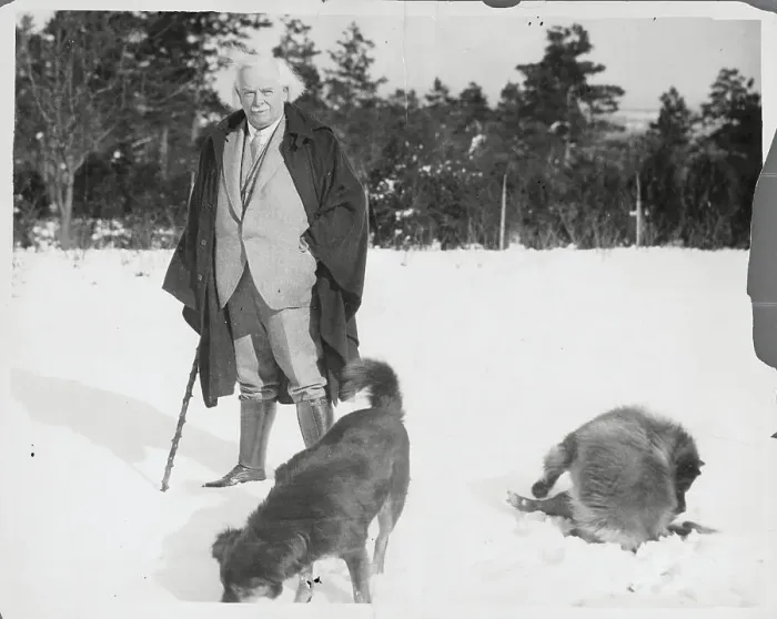 Framed Print : David Lloyd George with His Dogs Framed Print : David Lloyd George with His Dogs