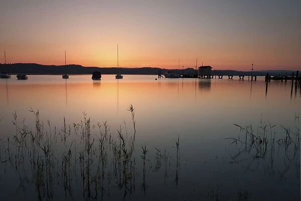 Dawn in Dingelsdorf on Lake Constance, Baden-Wuerttemberg, Germany, Europe