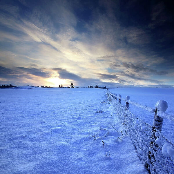 Dawn drifted snow ice fence