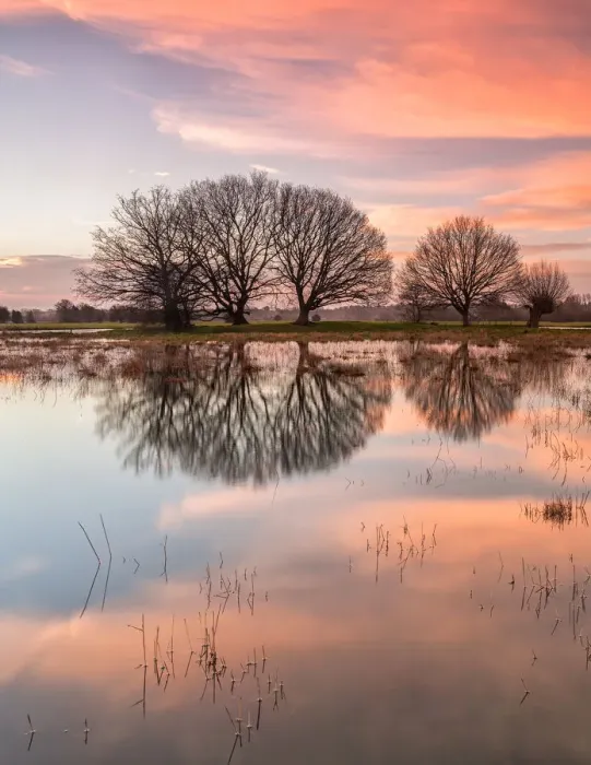 Framed Print : Dawn on the Stour II Framed Print : Dawn on the Stour II